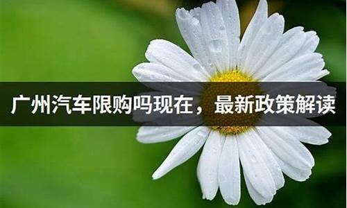 广州汽车限购政策2023年_广州汽车限购政策2023年最新